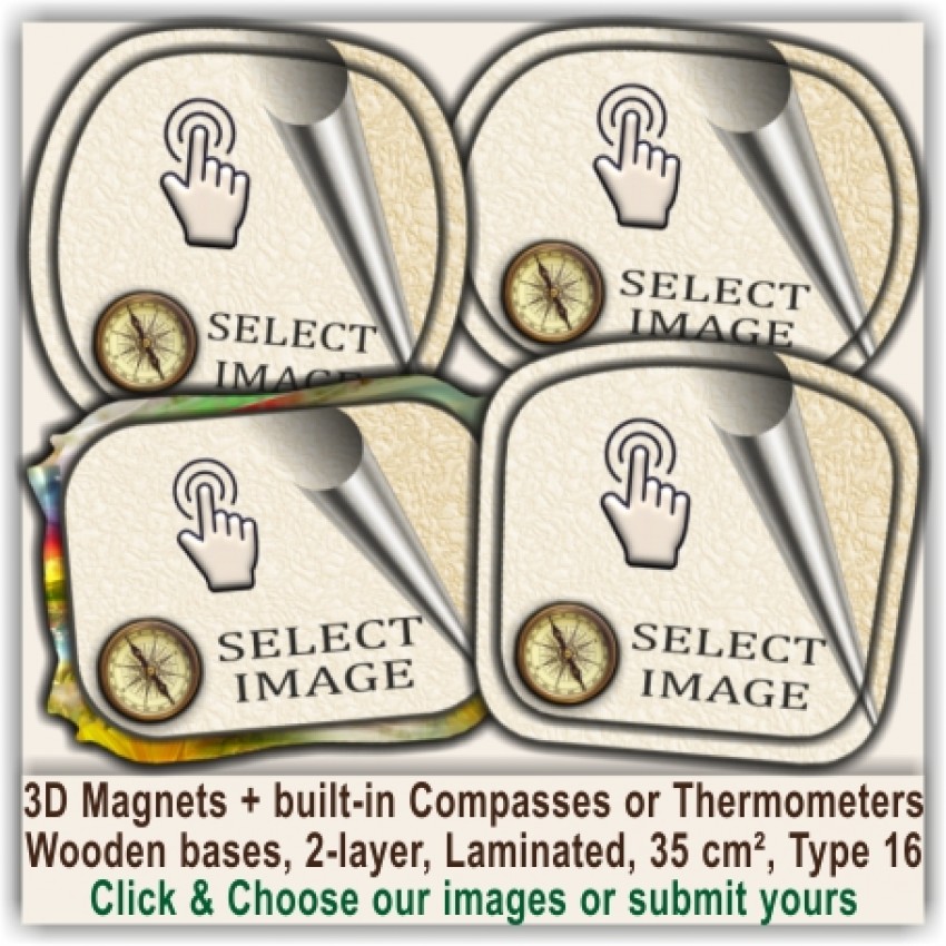 16 Souvenirs, Thermometers, Compasses 16 16 Souvenirs, Thermometers, Compasses 16