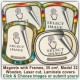 32 Photo Magnets with Frames 32 32 Photo Magnets with Frames 32