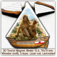 Gibraltar 3D Tourist Magnets. Model 12-3 Gibraltar 3D Tourist Magnets. Model 12-3