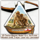 Gibraltar 3D Tourist Magnets. Model 12-3 Gibraltar 3D Tourist Magnets. Model 12-3
