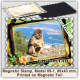 Gibraltar Magnetic Stamps, Model 89-1 Gibraltar Magnetic Stamps, Model 89-1